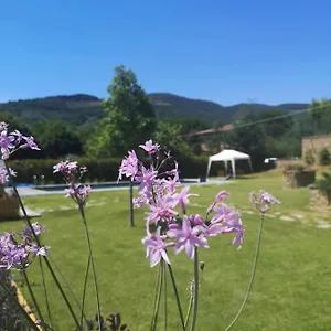  Bed and breakfast Alba Morus Bed E Breakfast Sentiti A Casa Nel Cuore Della Toscana Italia